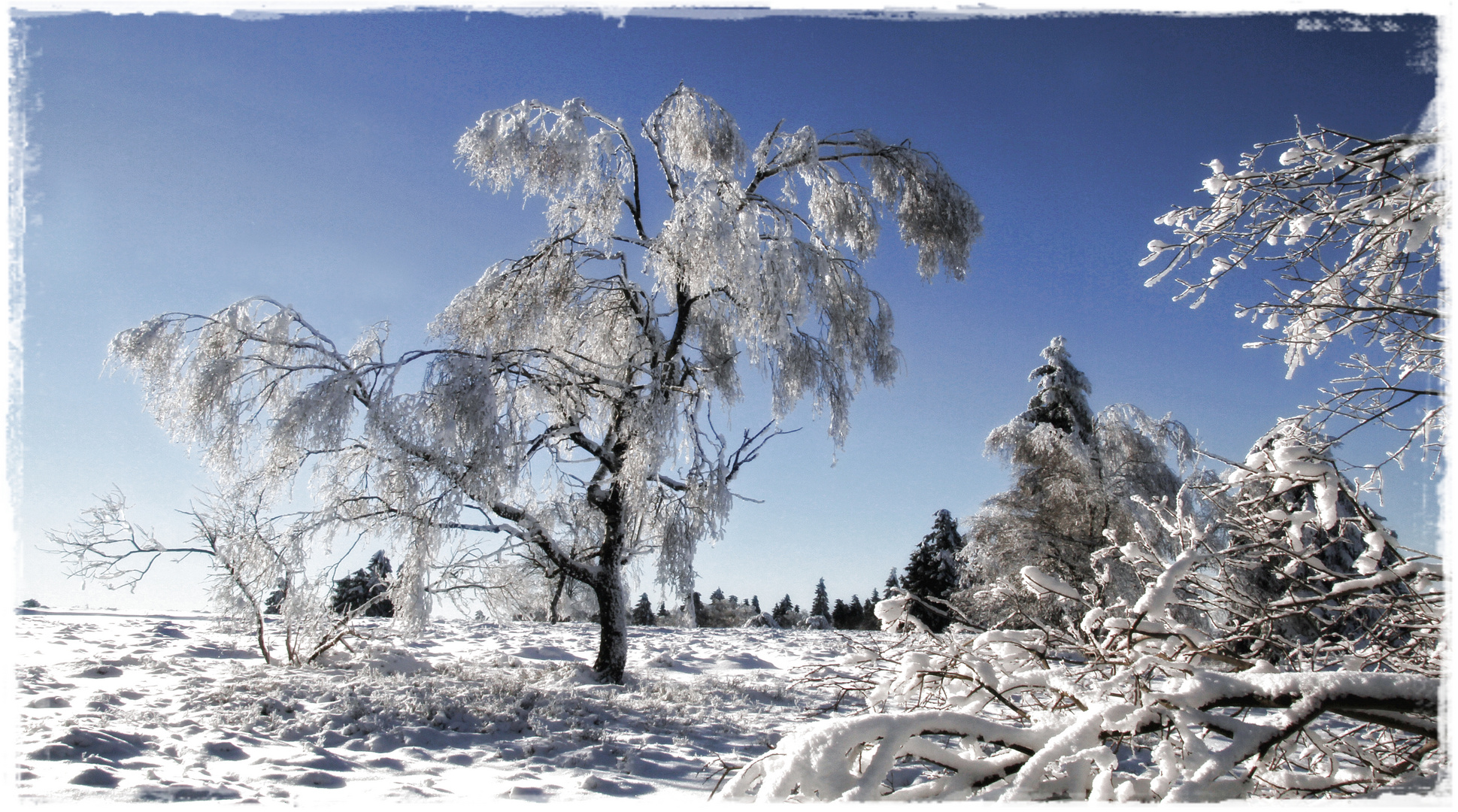 Es ist noch Winter