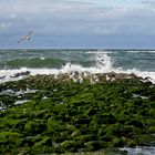 Es ist schön hier einfach nur am Wasser entlang zu laufen...