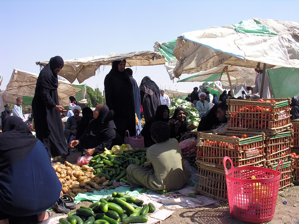 Es ist schön über den Einheimischenmarkt auf der Westbank von Luxor zu schlendern..