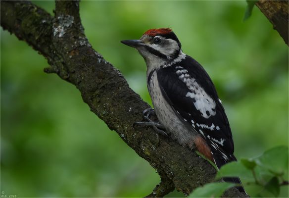 Es ist schon eine Weile her ...