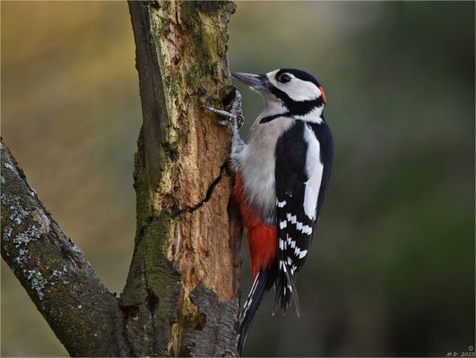 Es ist schon eine Weile her ...