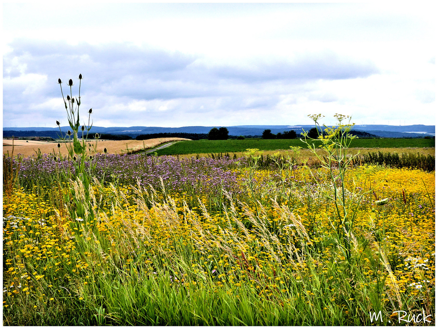 Es ist Sommer ,