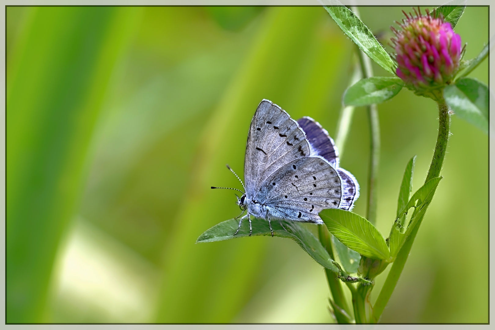 Es ist Sommer (2)