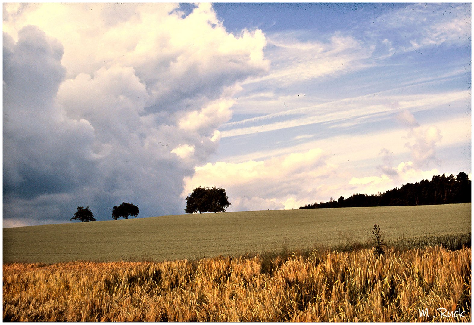 Es ist Sommer