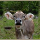 Es ist Sommeranfang !!  Oder vielleicht doch nicht ??