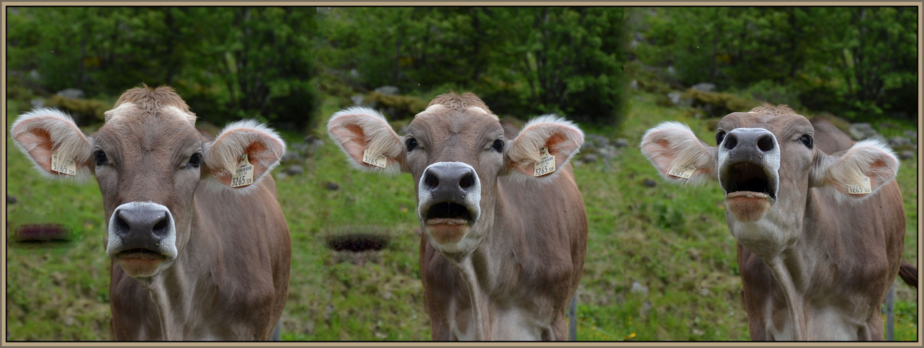 Es ist Sommeranfang !!  Oder vielleicht doch nicht ??