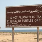 Es ist verboten, Fotos zu den Schildkröten mitzunehmen oder wegzubleiben !