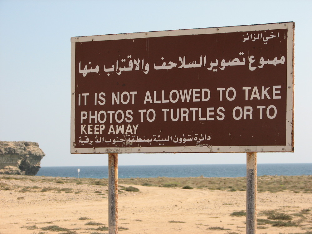 Es ist verboten, Fotos zu den Schildkröten mitzunehmen oder wegzubleiben !