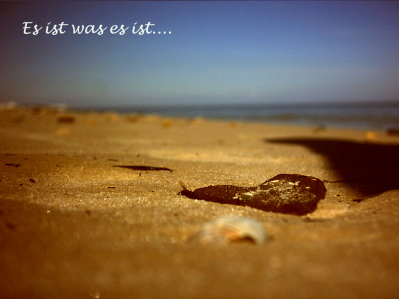 Es ist was es ist.....