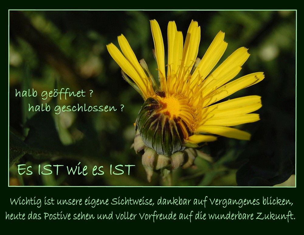 Es IST wie es IST Foto & Bild | emotionen, hoffnung, spezial Bilder auf