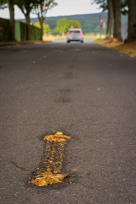Es ist wieder Apfelzeit