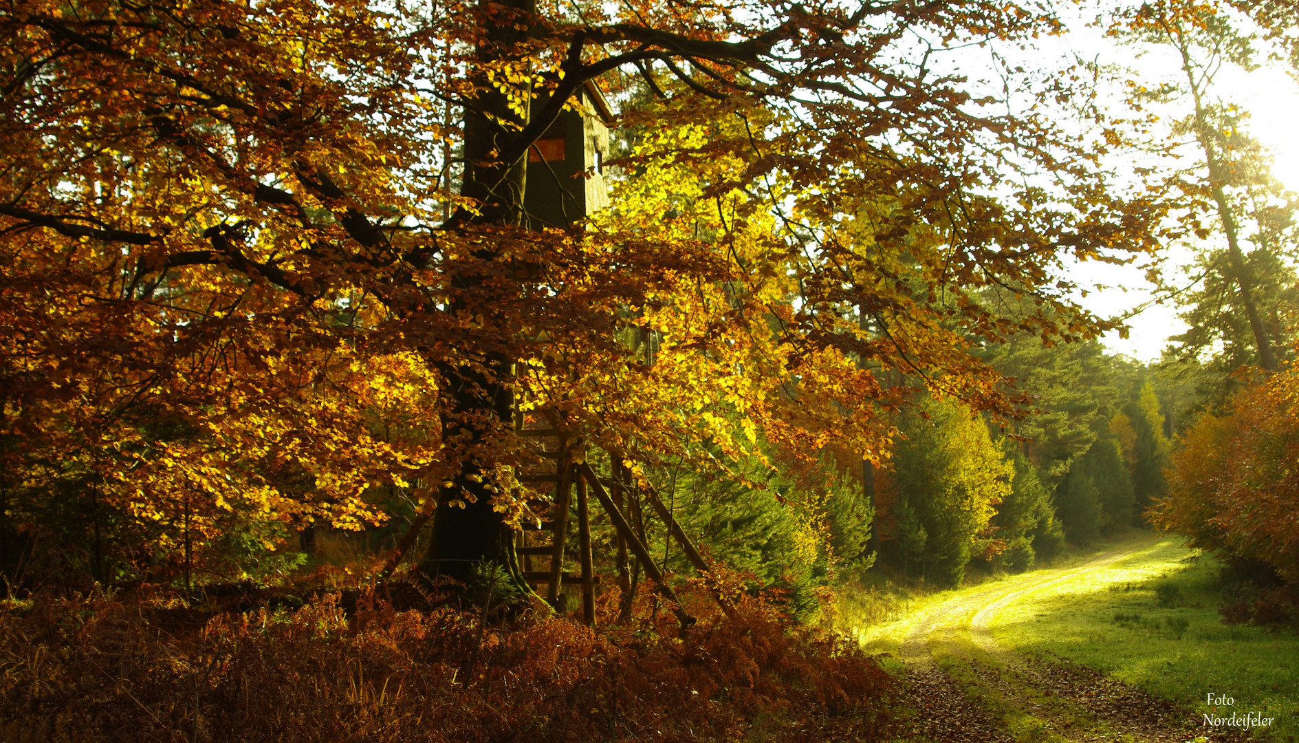 es ist wieder Herbst..