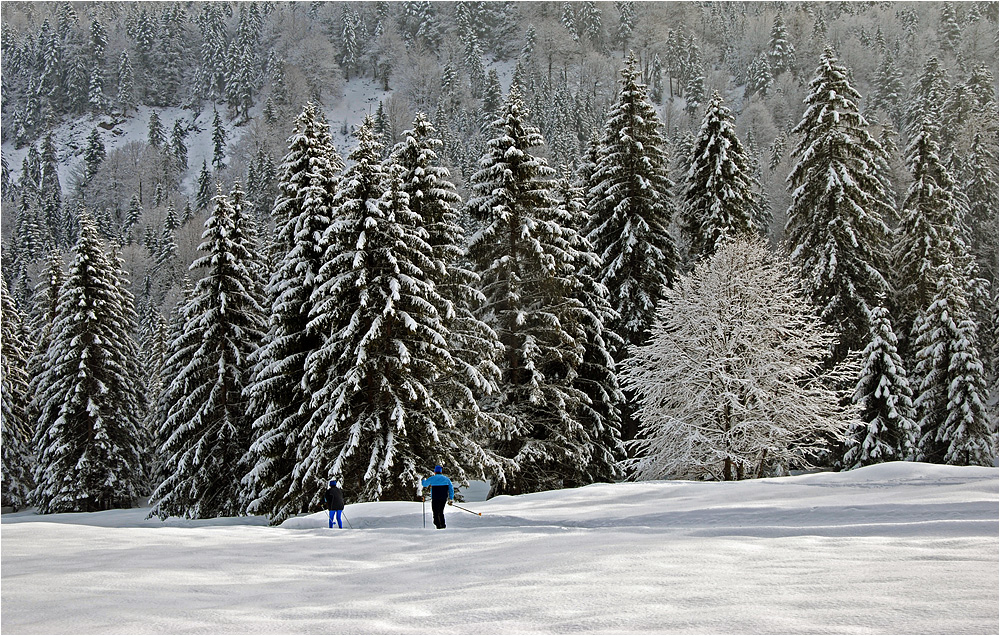 Es ist wieder richtig Winter geworden