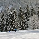 Es ist wieder richtig Winter geworden