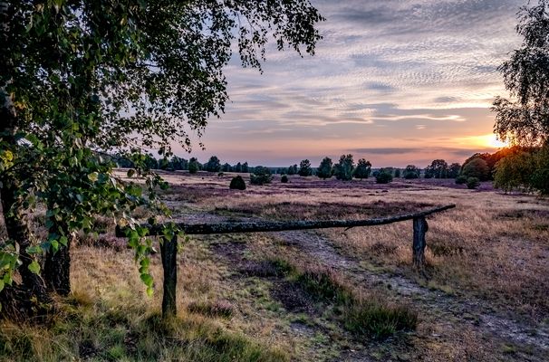 Es ist wieder soweit, ...   (1)