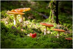 Es ist wieder soweit ..........