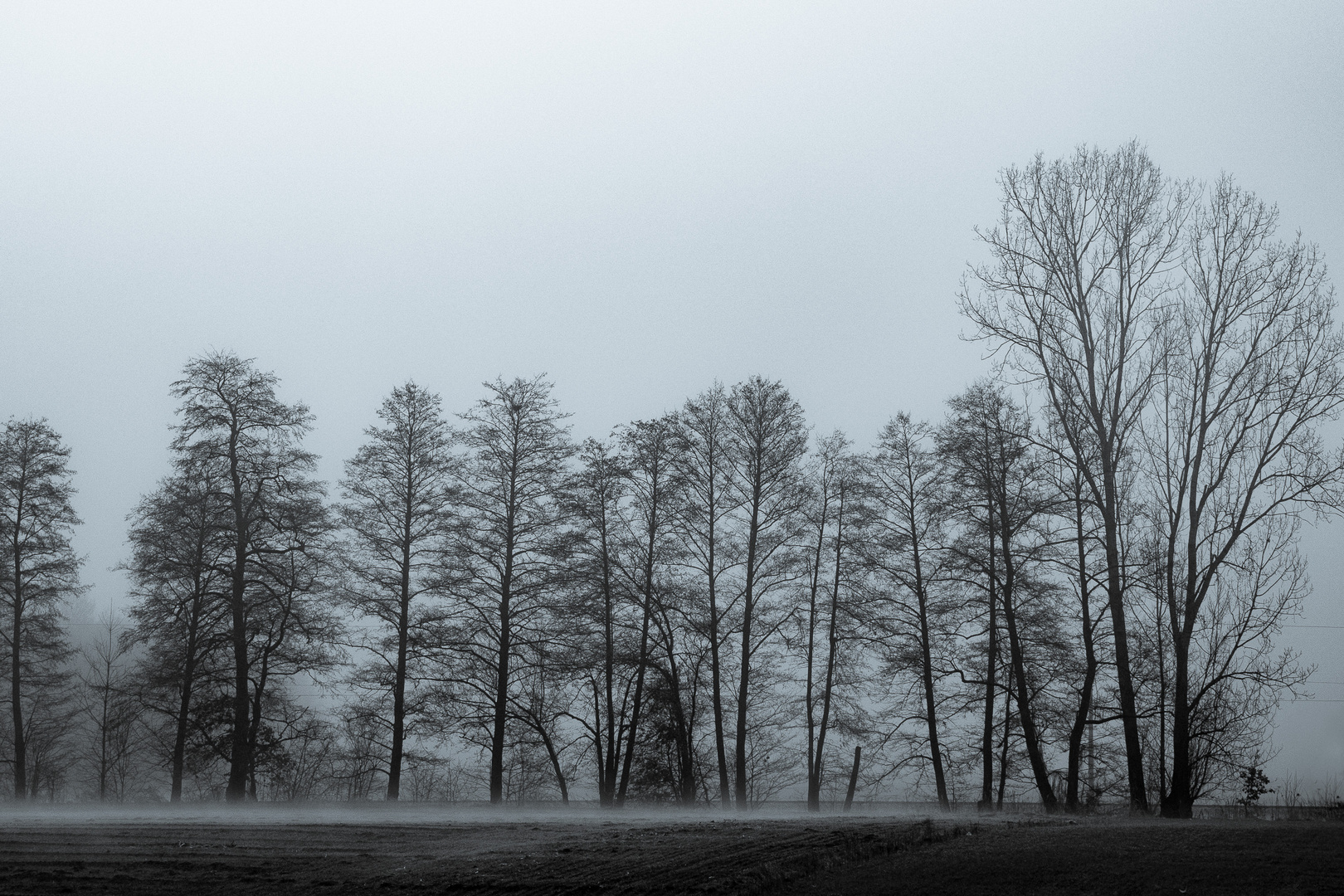 Es ist wieder soweit, der Nebel kommt