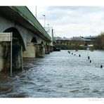 es ist wieder soweit.......... Hochwasser..