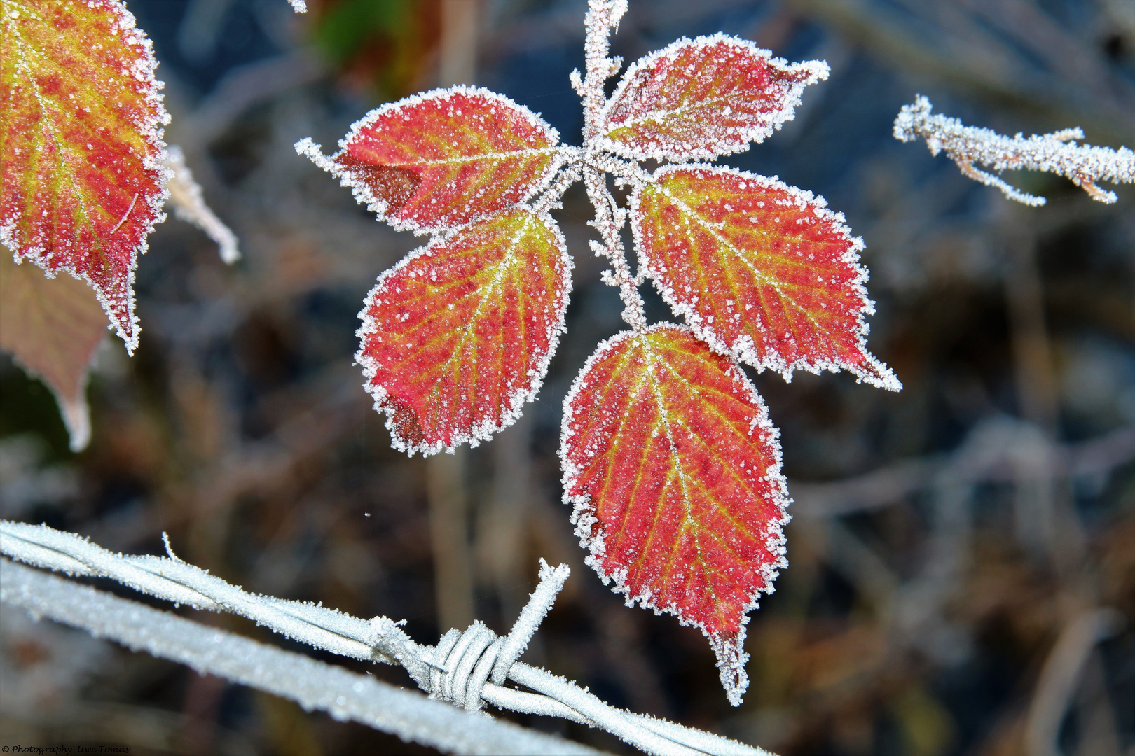 Es ist Winter...