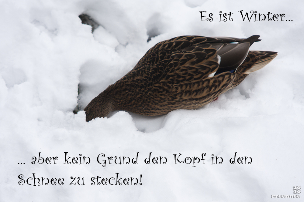 es ist Winter...