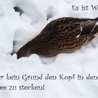 es ist Winter...