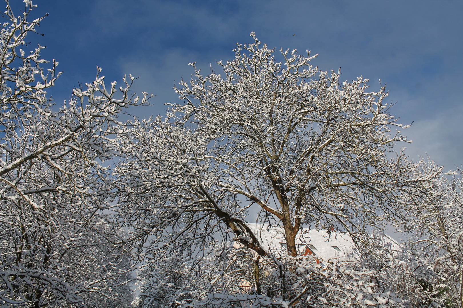 Es ist Winter