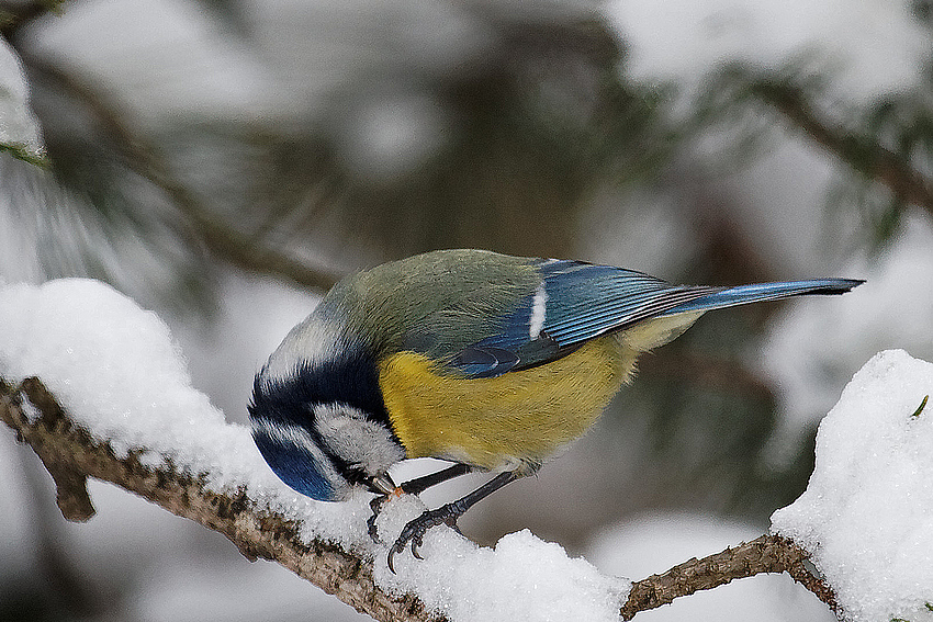 ...es ist Winter.