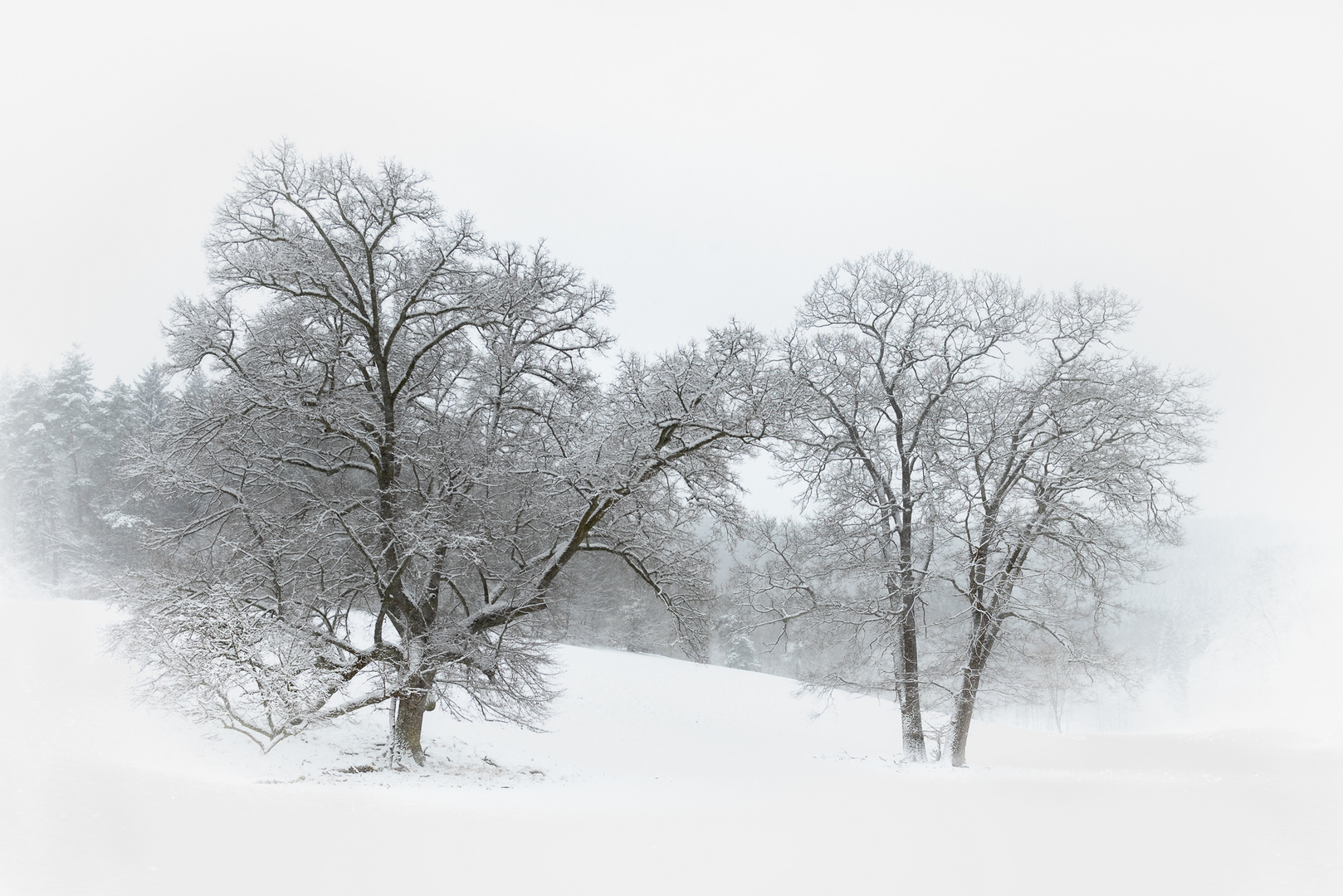 es ist Winter