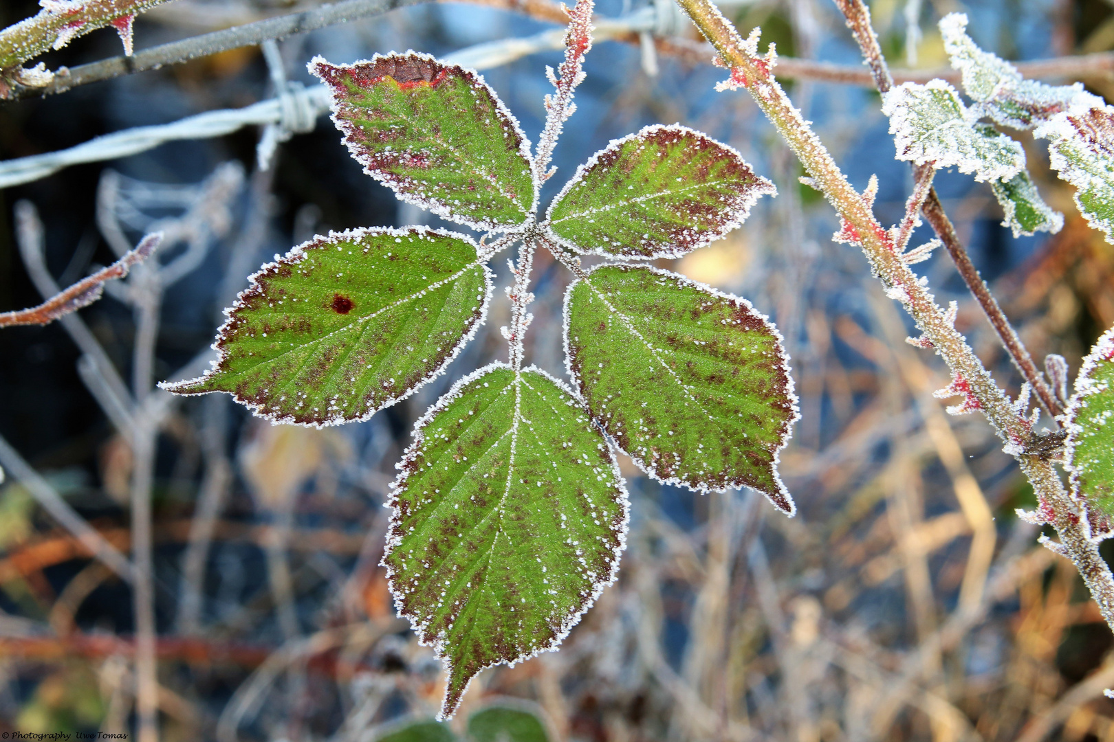 Es ist Winter...