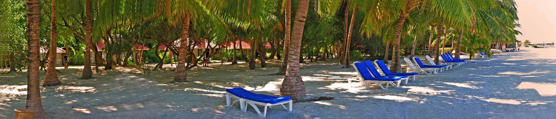 Es ist wirklich keiner da ...