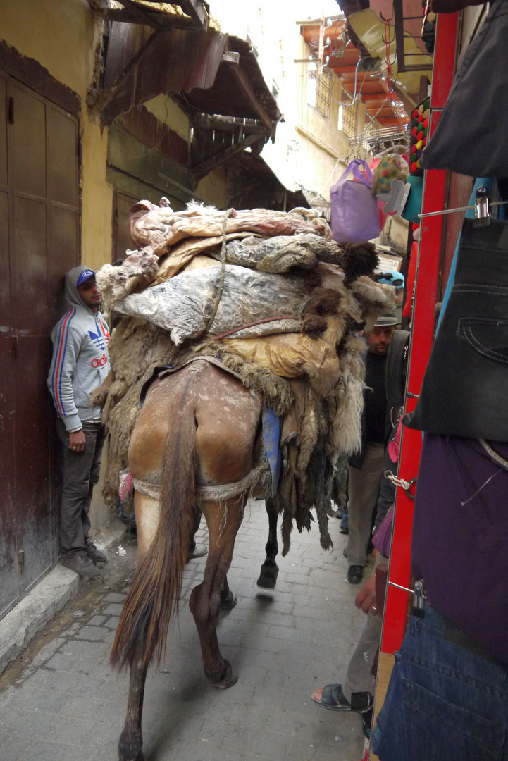 Es ist wirklich sehr eng in den Gassen der Medina