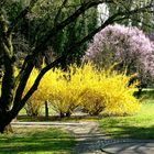 Es ist wunderschön im Kurpark von Bad Bellingen!