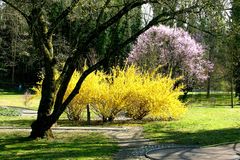 Es ist wunderschön im Kurpark von Bad Bellingen!