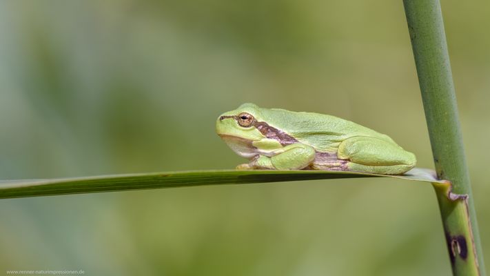 Es kam kurz die Sonne raus...