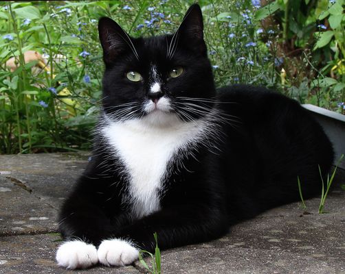 Es kann der Bravste nicht in Frieden ruhen...