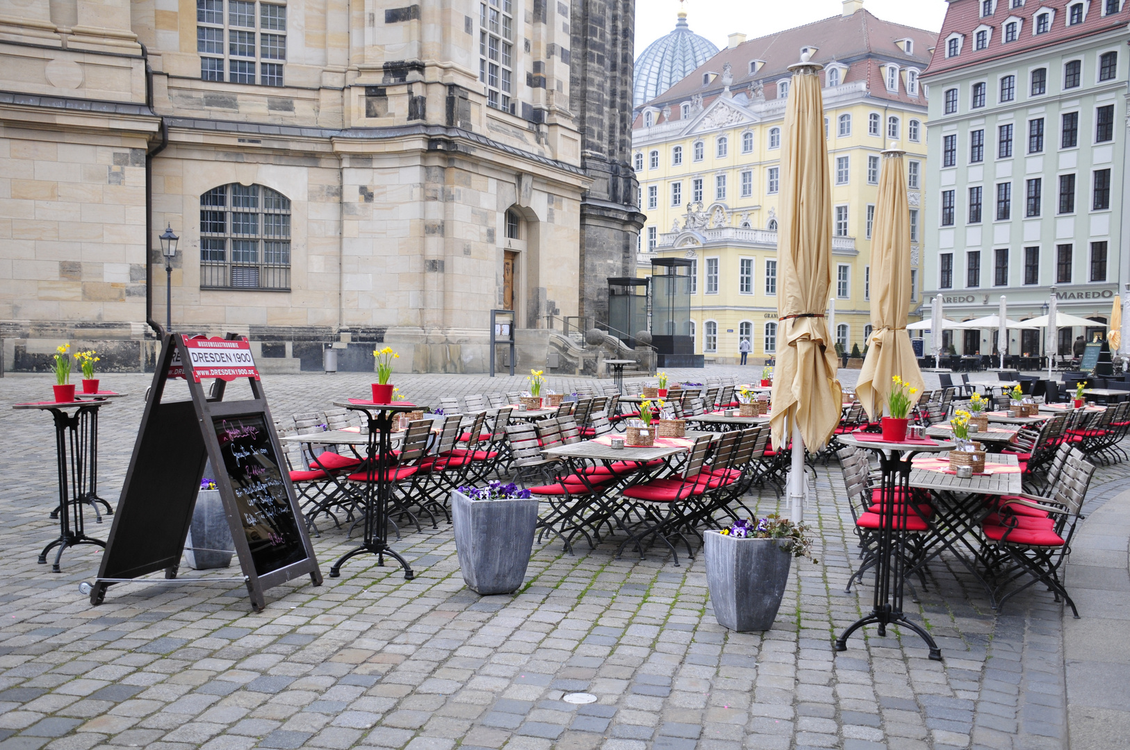 Es kann Frühling werden