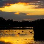 Es kehrt Ruhe ein am Brachwassersee