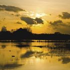 Es kehrt Ruhe ein am Brachwassersee