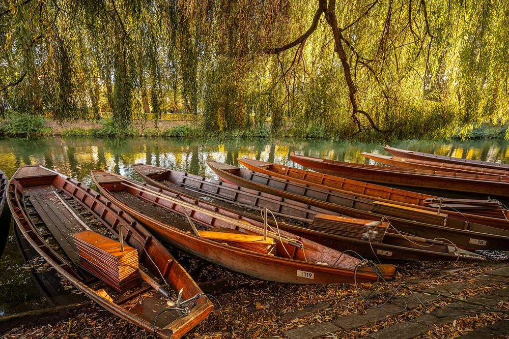 Es kehrt Ruhe ein am Neckar