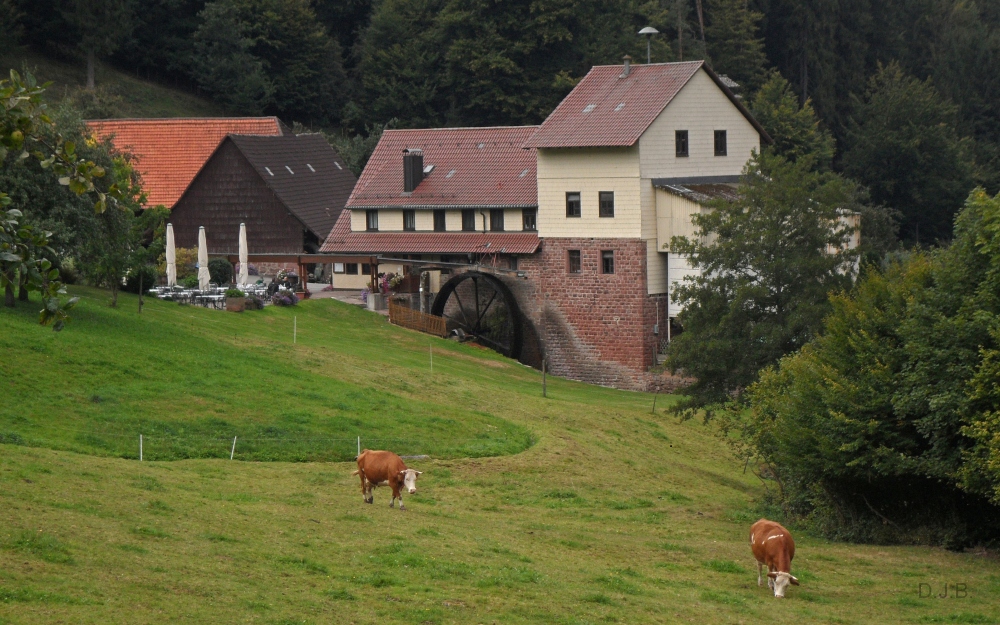 Es klappert die Mühle..