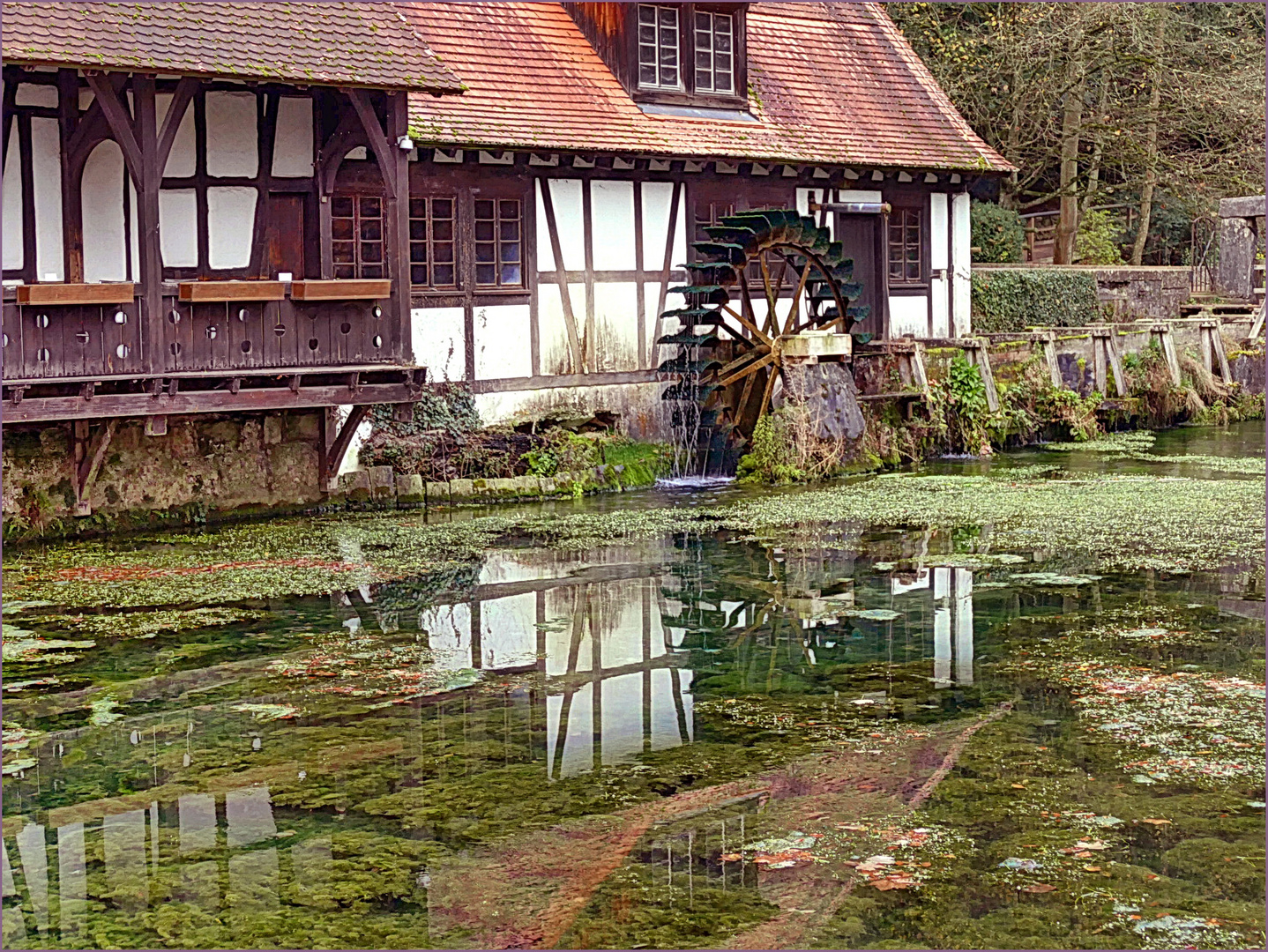 Es klappert die Mühle .... Foto & Bild | landschaft ...