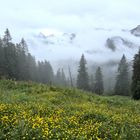 Es klarte auf am Fellhorn