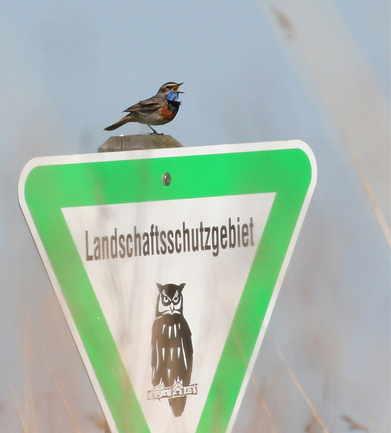 Es klingt ein kleines Lied...