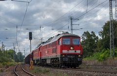 Es klinkert diesmal mit alten Lüftern