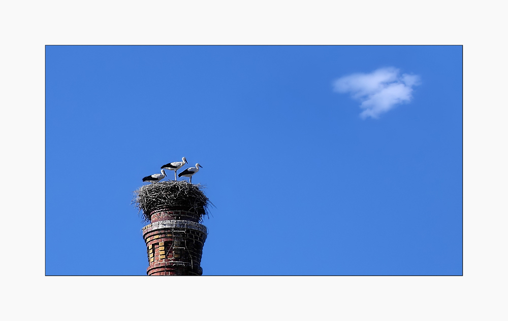 ES KOMMEN WOLKEN! NEIN! DOCH!