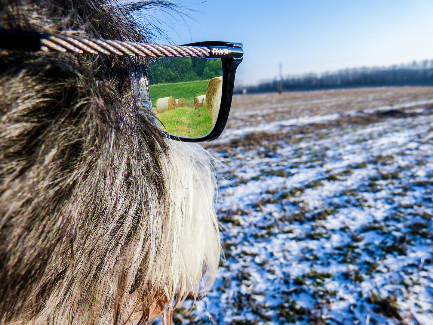 Es kommt auf die Brille an, die man trägt wie man die Welt sieht...!