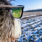 Es kommt auf die Brille an, die man trägt wie man die Welt sieht...!