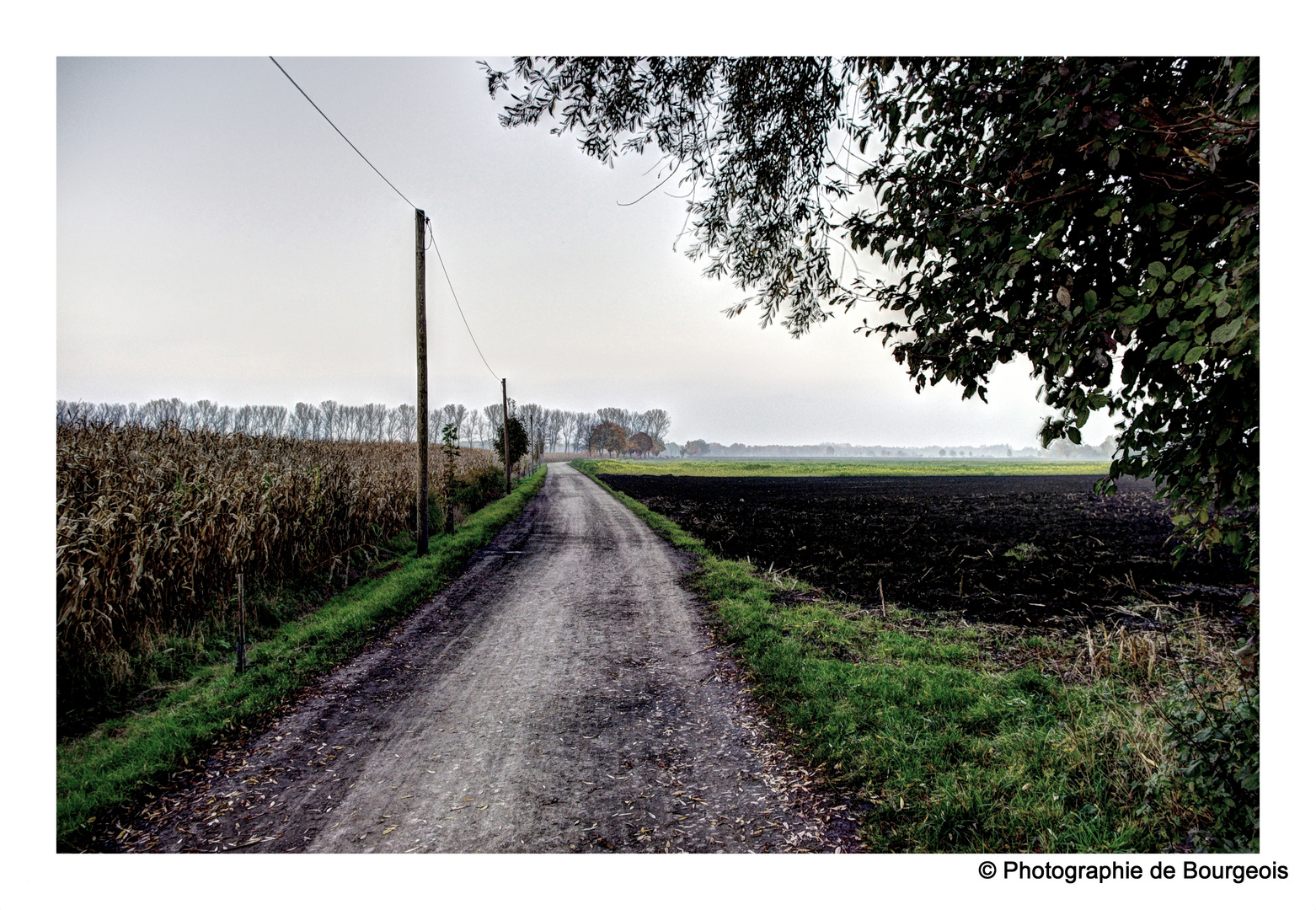 Es kommt der Herbst...