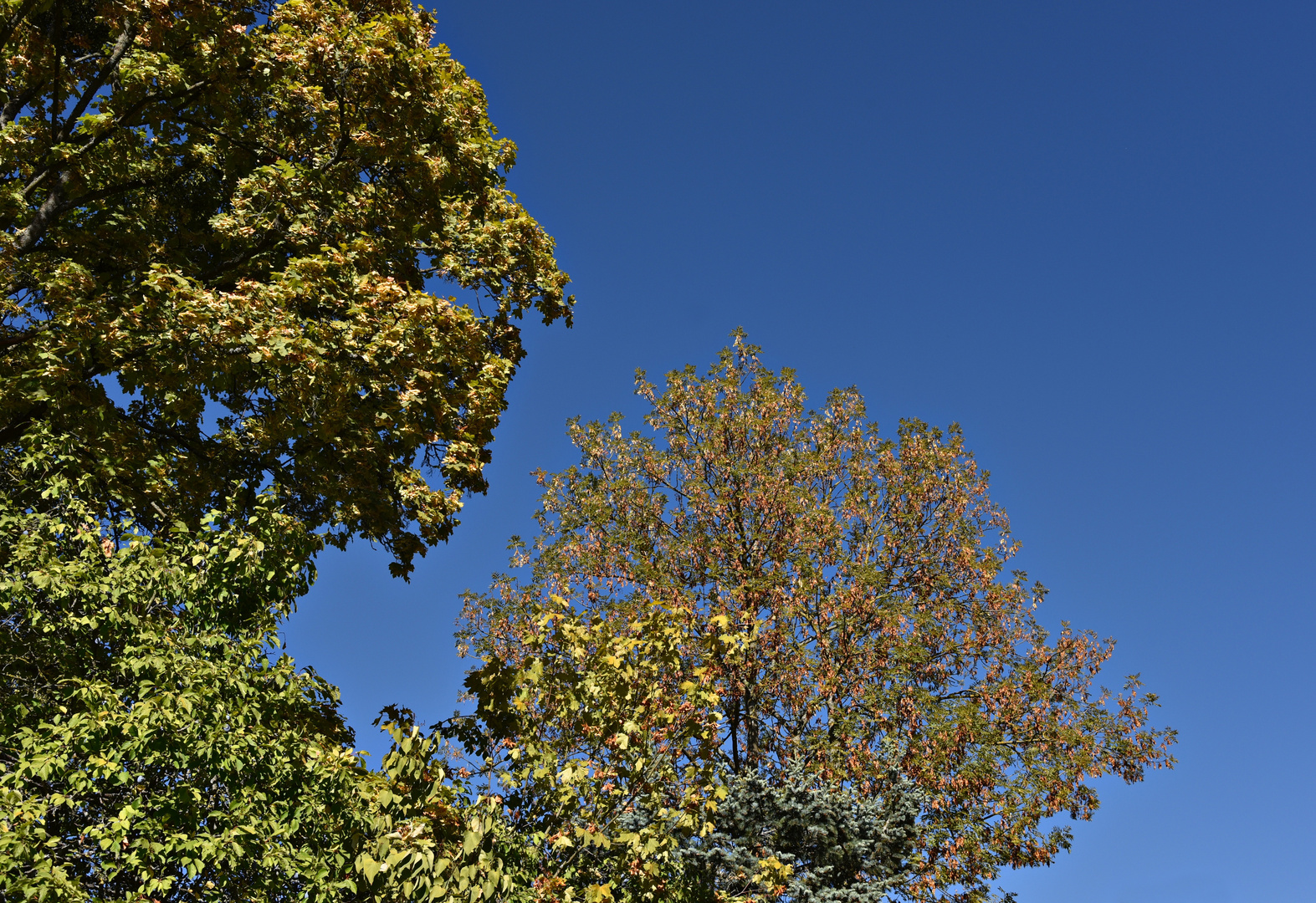 es kommt der Herbst