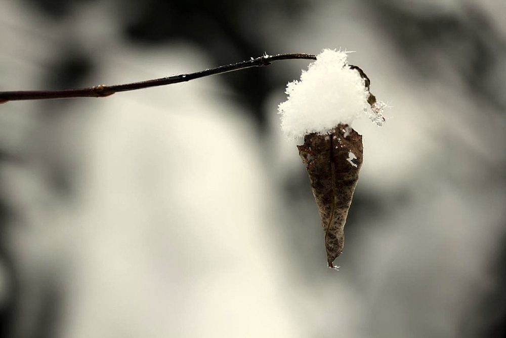 Es kommt die Eiszeit